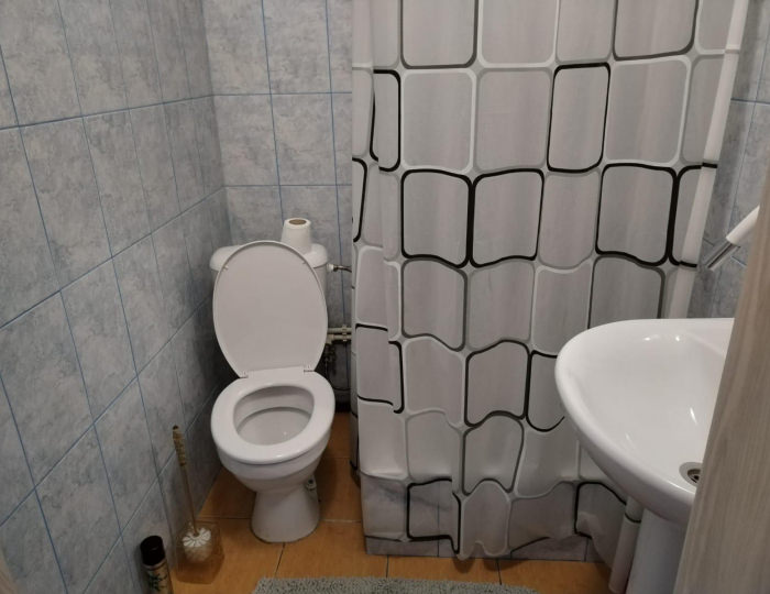 Номер стандарт с 1 двуспальной кроватью - Мини-отель «Аль Капоне» Новоалтайск