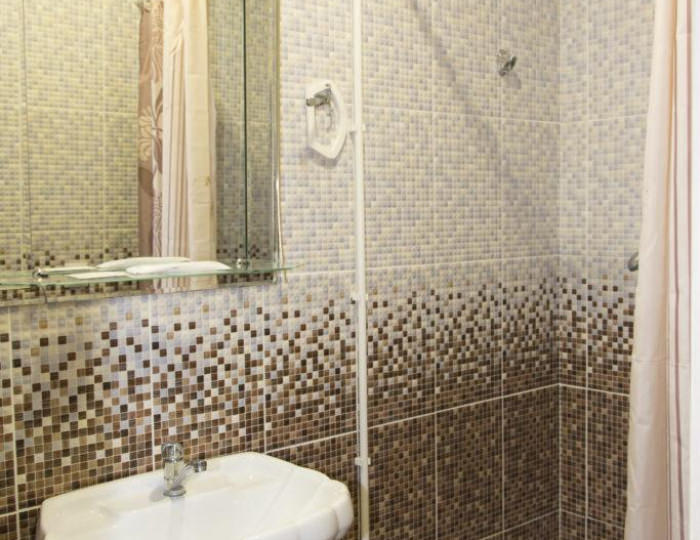 Номер стандарт с 1 двуспальной кроватью (с завтраком) - Мини-отель «Кулунда 24» Кулунда