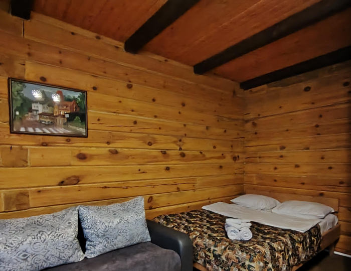 Комната стандарт с 1 двуспальной кроватью - Гостевой дом «Горная Пчела» Белокуриха