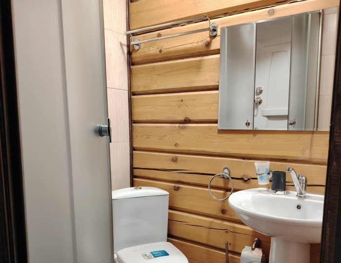 Комната стандарт с 1 двуспальной кроватью - Гостевой дом «Горная Пчела» Белокуриха