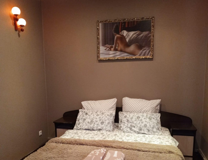 Номер полулюкс люкс (мансарда) - Мини-отель «Алтайское гостеприимство» Барнаул