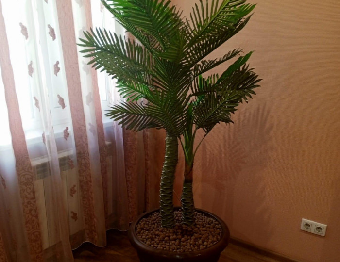 Номер студия свадебный (мансарда) - Мини-отель «Алтайское гостеприимство» Барнаул