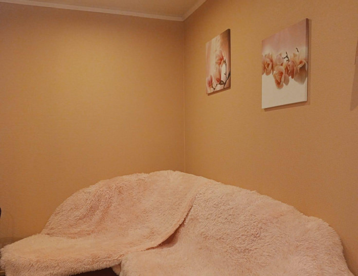 Номер студия свадебный (мансарда) - Мини-отель «Алтайское гостеприимство» Барнаул