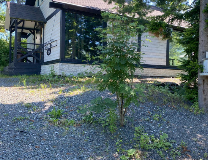 Коттедж Lakost 3 / Лакост Шерегеш