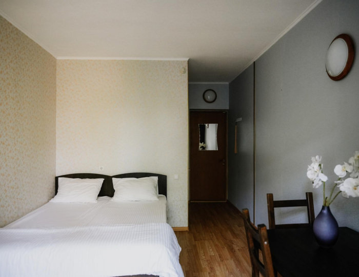 2-местный номер стандарт - Гостевой дом «Большая Черепаха» Геленджик