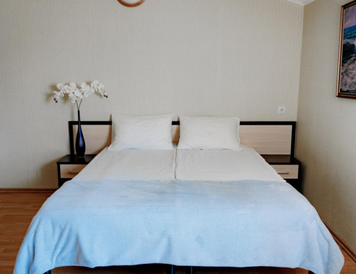 Номер люкс семейный (мансарда) - Гостевой дом «Большая Черепаха» Геленджик