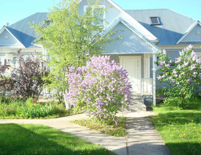 Гостевые дома WEL-COM / Вел-Ком Борзые