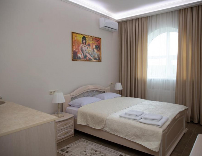 Номер стандарт с 1 двуспальной кроватью - Отель «Пирамида» Борисовка