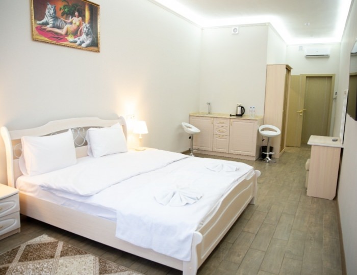 Номер полулюкс с 1 двуспальной кроватью - Отель «Пирамида» Борисовка