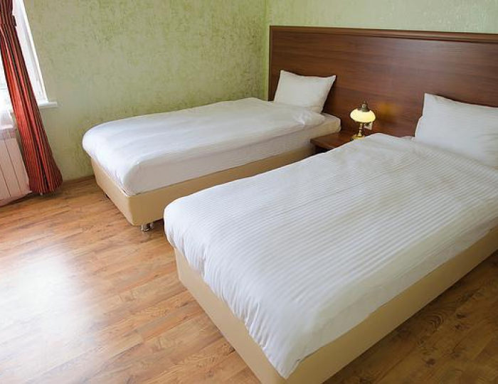 Номер стандарт с 1 двуспальной кроватью - Отель «Эдем» Брехово