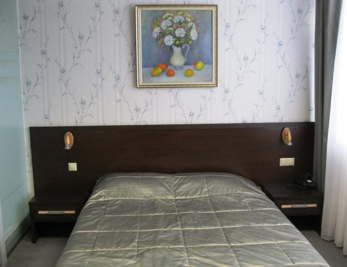 Номер стандарт с 1 двуспальной кроватью (с завтраком) - Гостиница «Профит» Тула