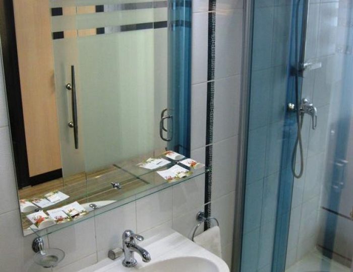 Номер стандарт с 1 двуспальной кроватью (с завтраком) - Гостиница «Профит» Тула