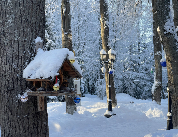 Гостиница «Школа горнолыжного спорта Л.Тягачева»