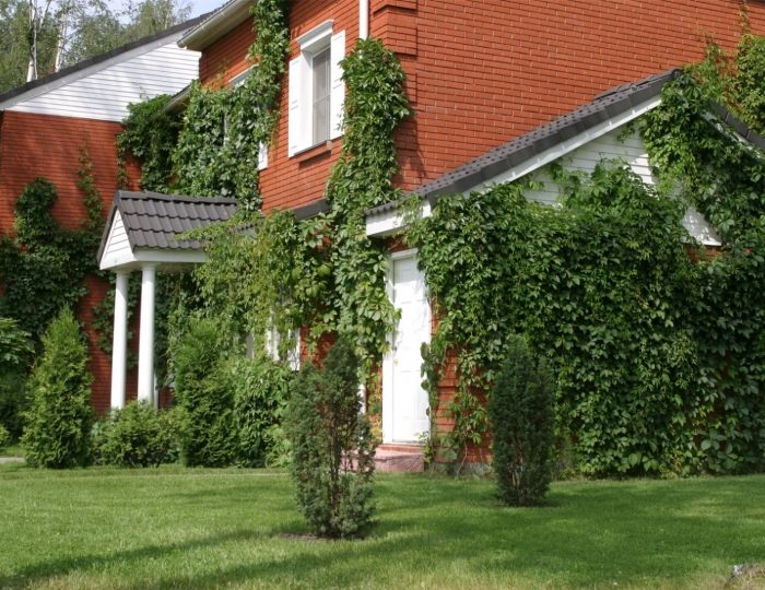 Международный жилой комплекс «Росинка»