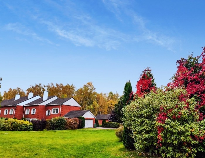 Международный жилой комплекс «Росинка»