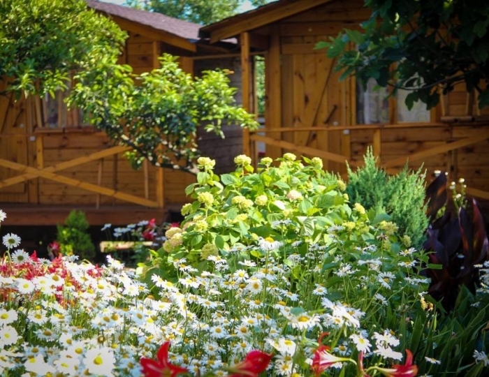 База отдыха «Теремки» Алахадзы