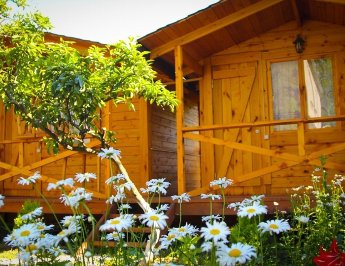 База отдыха «Теремки» Алахадзы