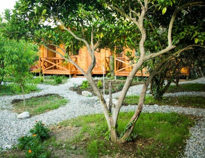 База отдыха «Теремки» Алахадзы