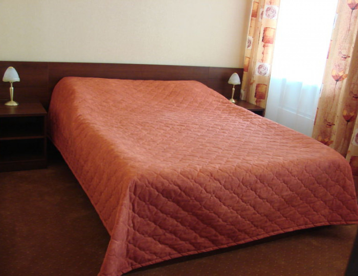 1 категория Стандарт №102 - Отель «Парк Отель» Дубна