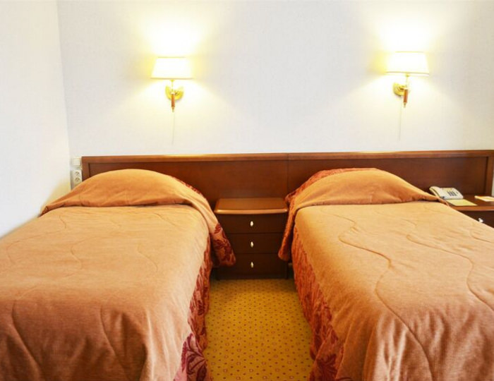 эконом 2-местный - Отель «Европа» Жуковский