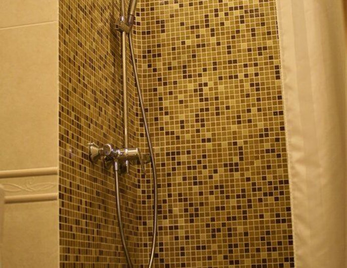 стандарт 1-местный - Гостевой дом «Гостевая изба на Истре» Истра