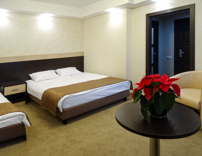 улучшенный 2-местный twin - Отель «Экипаж» Краснознаменск