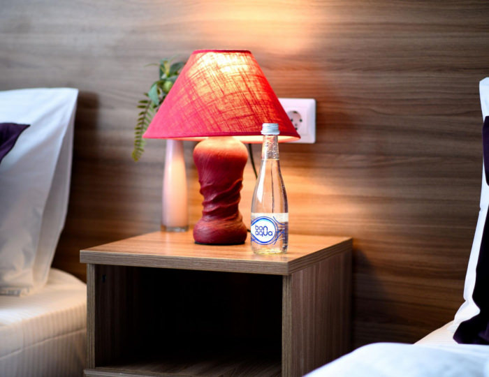 Номер стандарт с 2 односпальными кроватями - Отель Green Force / Грин Форс Кингисепп