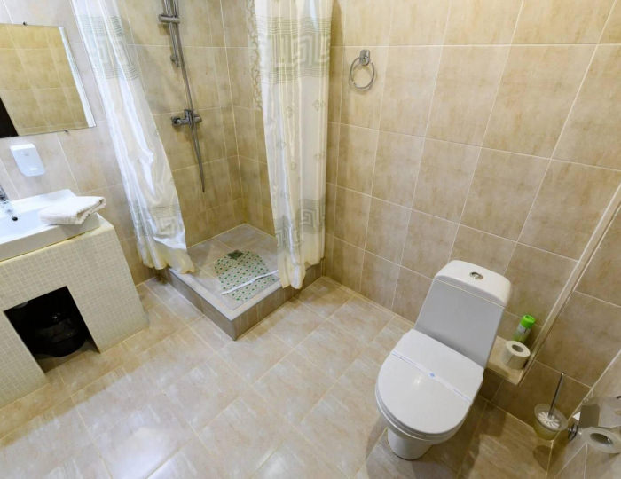 Номер люкс с 1 двуспальной кроватью - Отель Green Force / Грин Форс Кингисепп