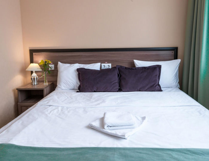 Номер стандарт с 1 двуспальной кроватью - Отель Green Force / Грин Форс Кингисепп