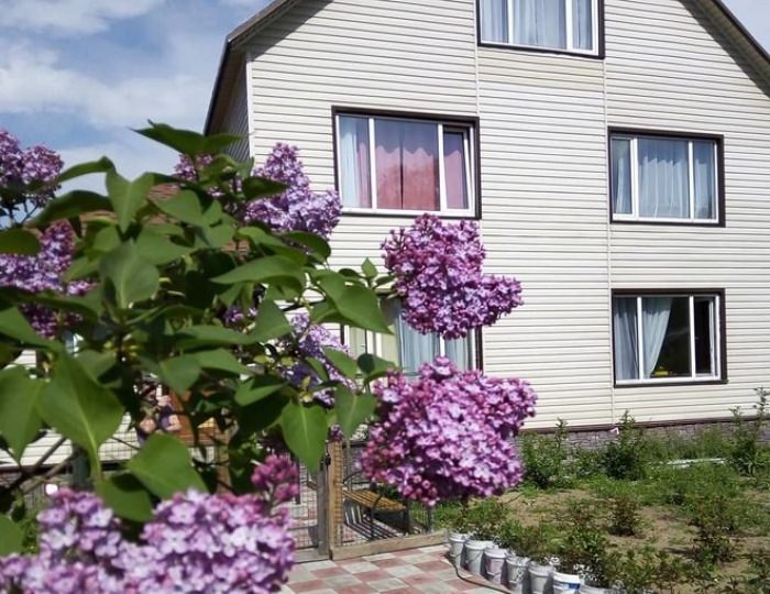 Гостевой дом «Камчатдар» Елизово