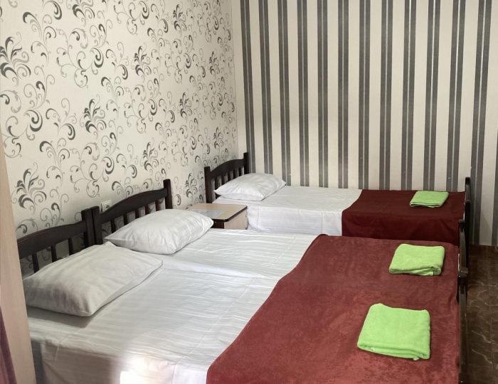 3-местный номер стандарт с 1 односпальной и 1 двуспальной кроватью - Гостевой дом «Сказочный мир - Геленджик» Геленджик