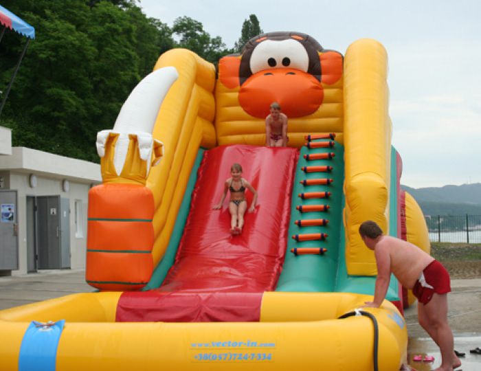 Бассейн и пляж - Отель «Прометей Небуг»