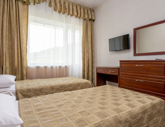 Стандартный 2-местный 1-комнатный (парк) TWIN - Отель «Прометей Небуг»