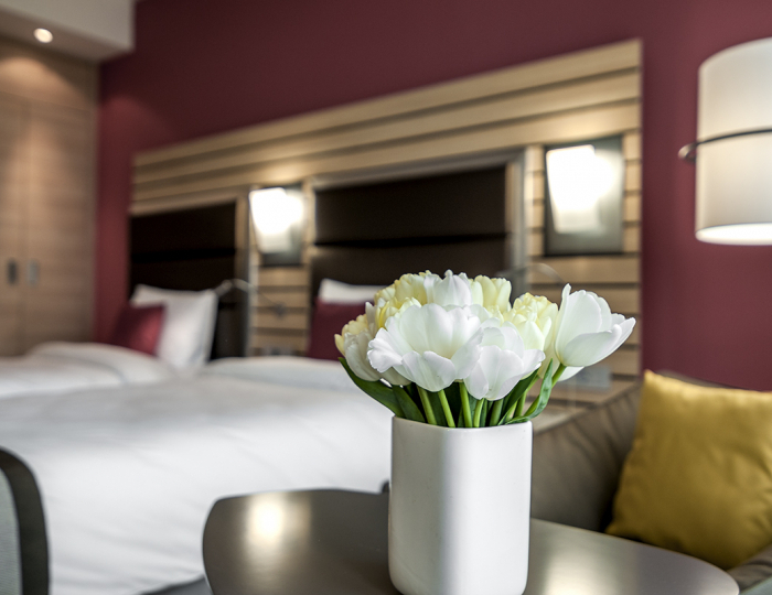 Стандарт 2-местный TWIN с видом на город - Отель Меркюр Сочи Центр / Mercure Sochi Centre