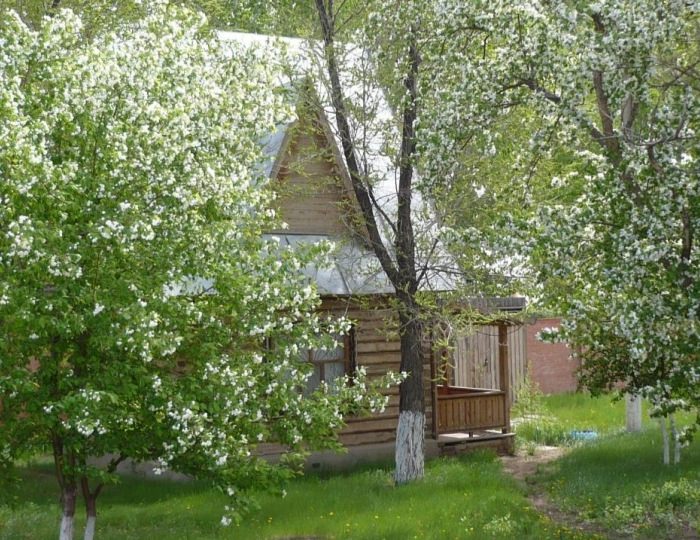 Домик 2-местный летний - Санаторий «Яровое» Яровое