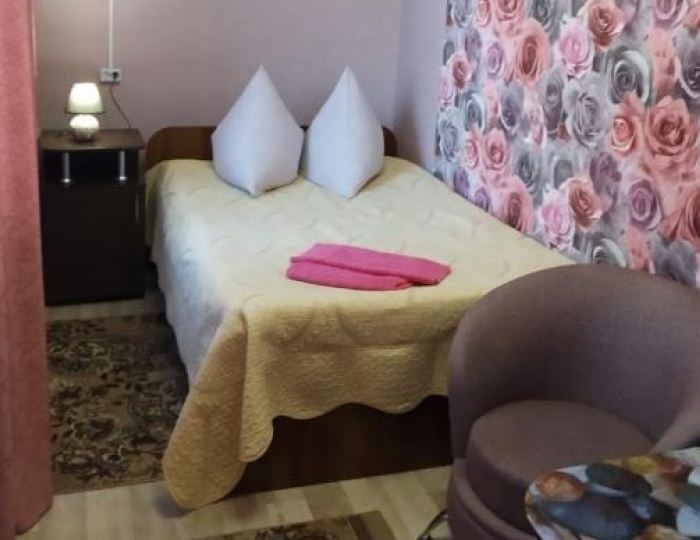 Стандарт 1-местный №6,10 (14,8,7) - Санаторий «Яровое» Яровое