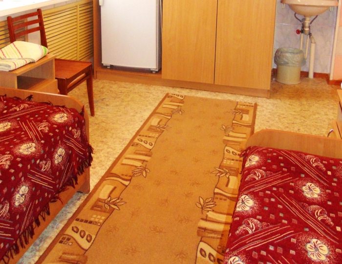 Эконом 2-местный №4,20, (9,16) - Санаторий «Яровое» Яровое