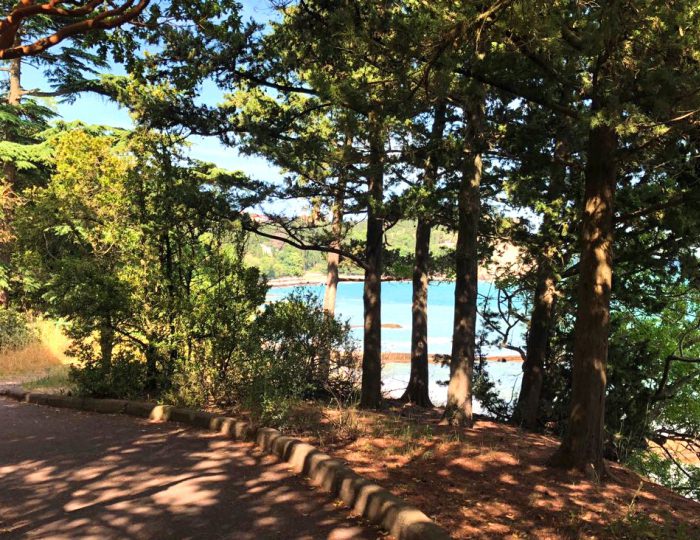 Парк Карасан - Курорт «Ателика Карасан»