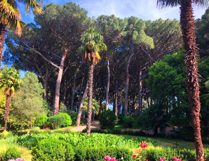 Парк Карасан - Курорт «Ателика Карасан»