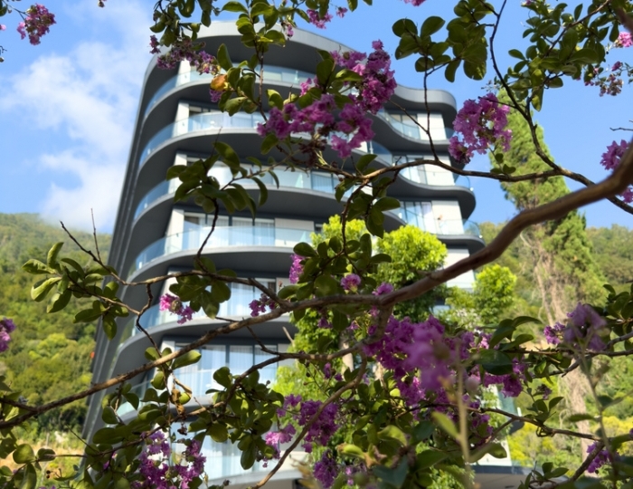 Отель Royal Riviera / Роял Ривьера Гагра