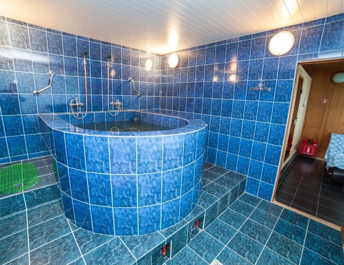 SPA-отдых - Дом отдыха «Подмосковье» Троицкое