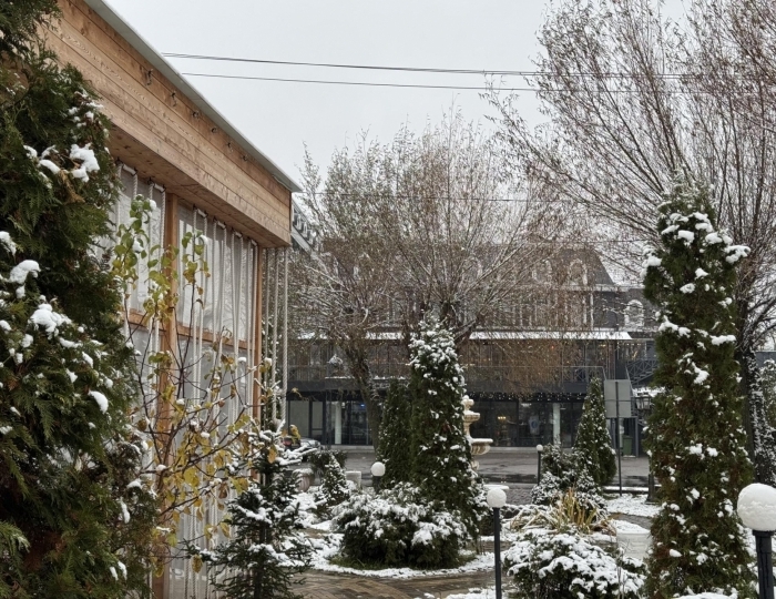 Отель «Москва Отель Холидеи Коллекшен» Картмазово