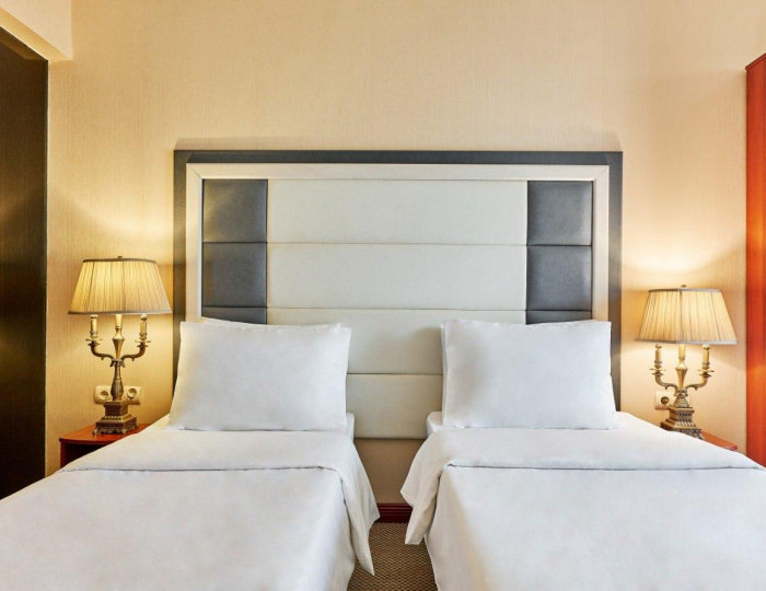 2-местный номер стандарт - Отель «Москва Отель Холидеи Коллекшен» Картмазово