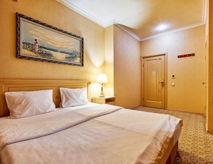 2-местный номер эконом - Отель «Москва Отель Холидеи Коллекшен» Картмазово