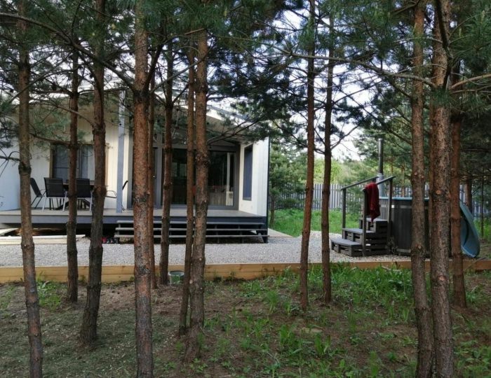 Коттедж «Дом в сосновом лесу» Раменское