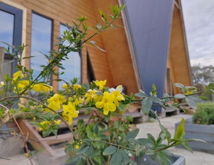 Коттедж «Коттеджи у моря» Агудзера