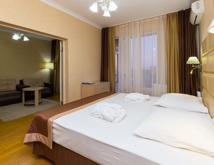 Люкс 2-местный 2-комнатный - СКК «Адлеркурорт» (корпус «Дельфин»)