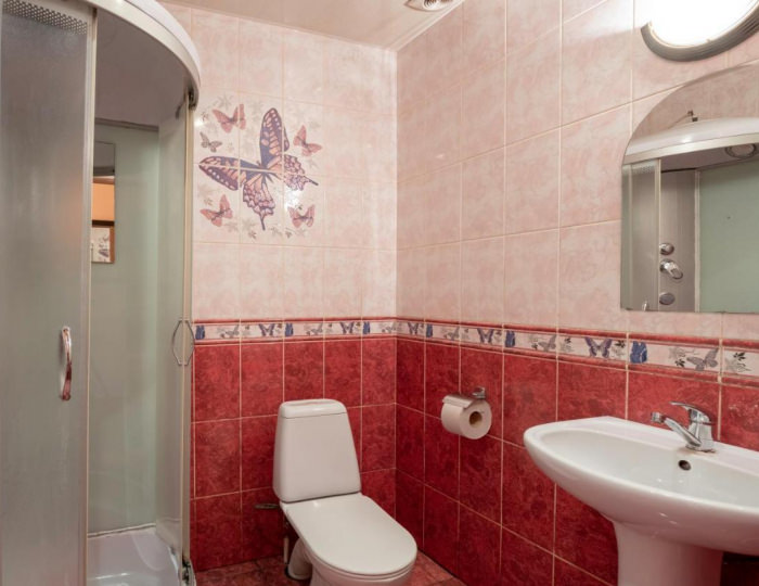 Номер стандарт с 1 двуспальной кроватью - Гостиница «Демидовъ» Балашиха