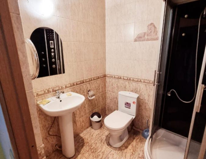 Номер стандарт с 1 двуспальной кроватью - Гостиница «Демидовъ» Балашиха