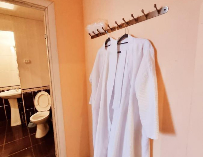 Номер стандарт с 1 двуспальной кроватью - Гостиница «Демидовъ» Балашиха